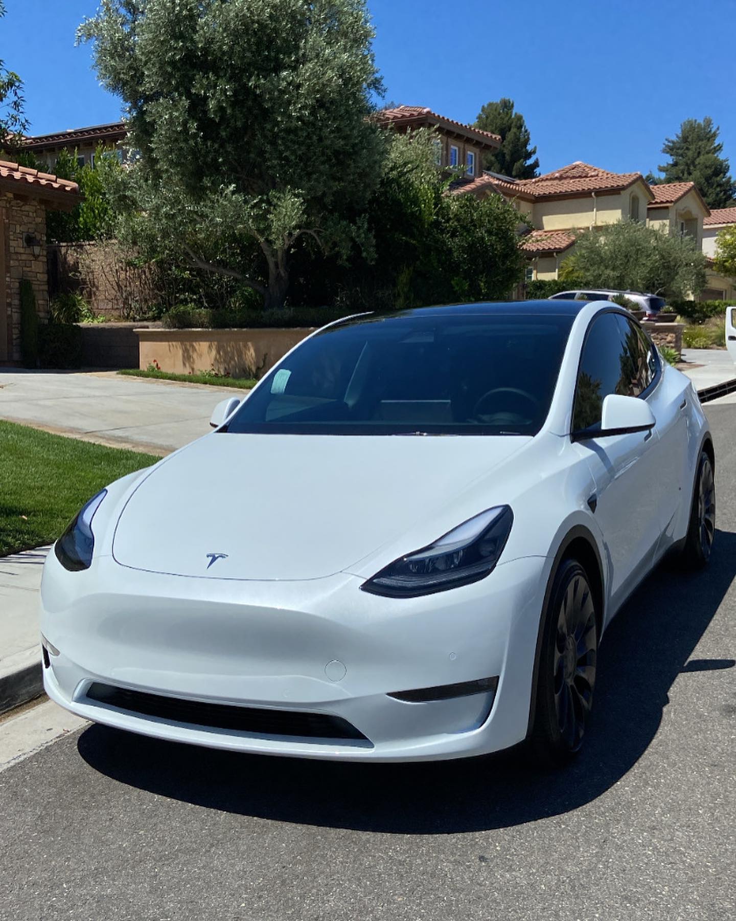 Paint Protection Film
