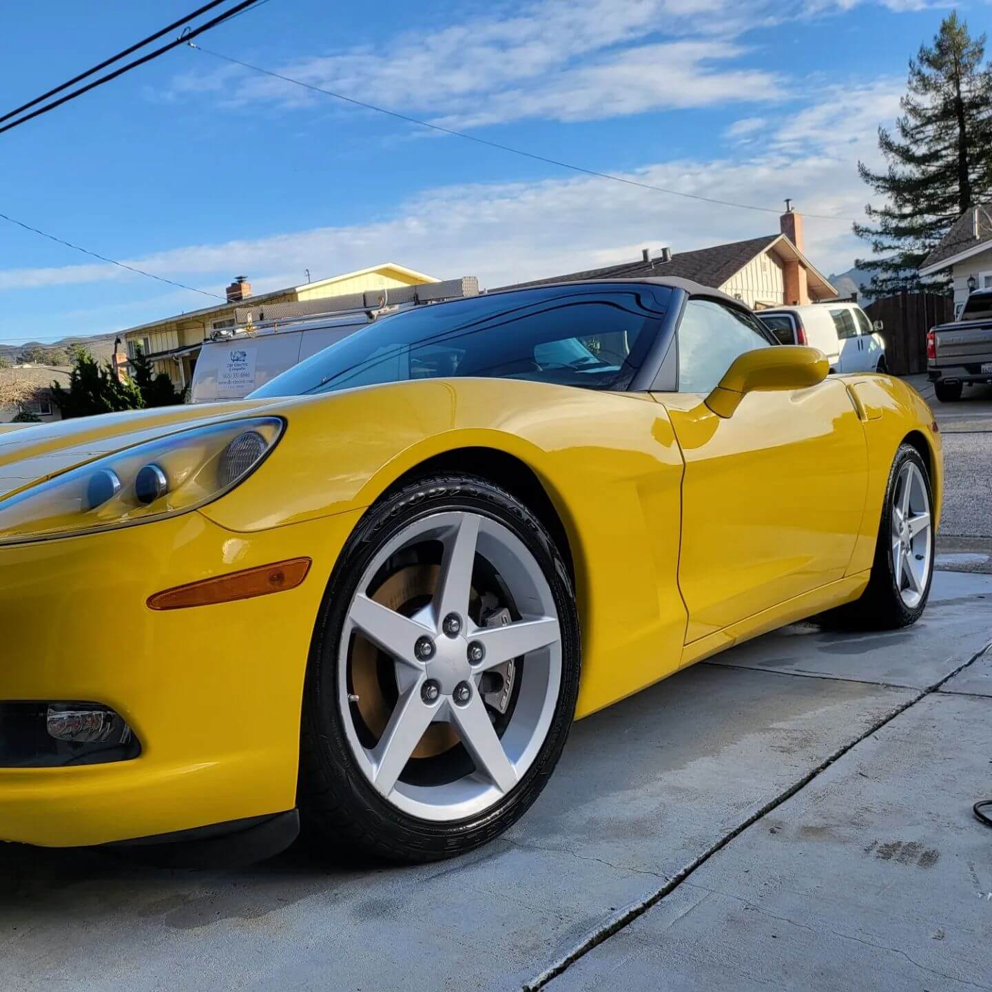 Window Tint