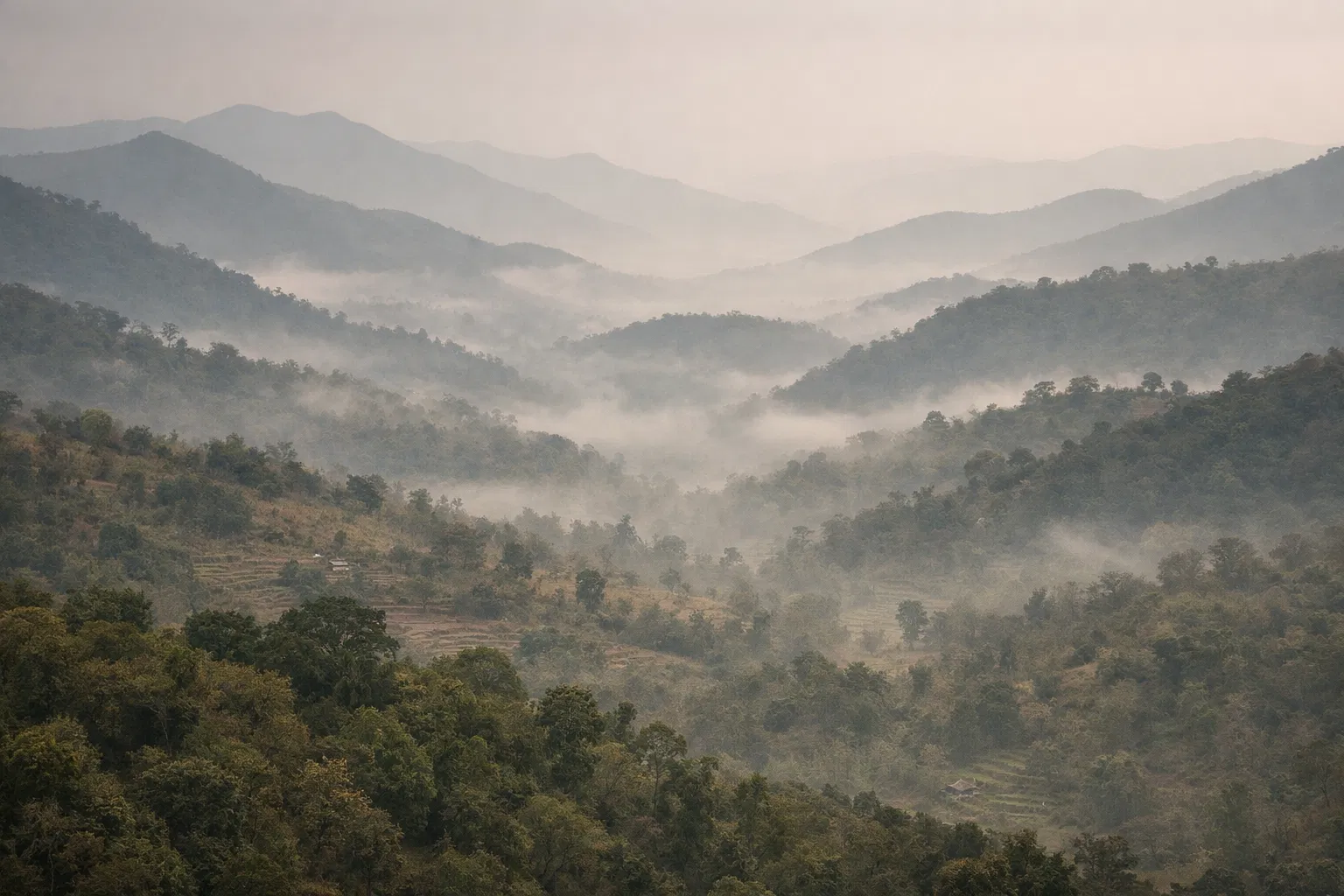 Misty Araku Valley landscape with layered hills and forest
