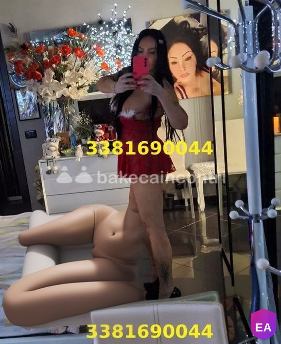 Trans a Modena - Foto 1 - trans a Italia