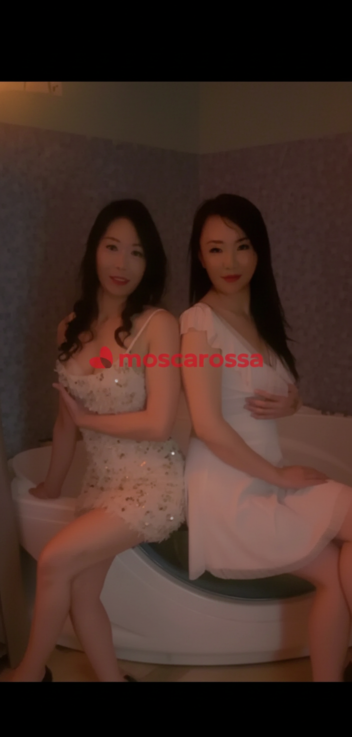 Bella studentessa - Foto 5 - escort a Udine