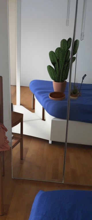 Allessia rivelly - Foto 5 - trans a Vicenza