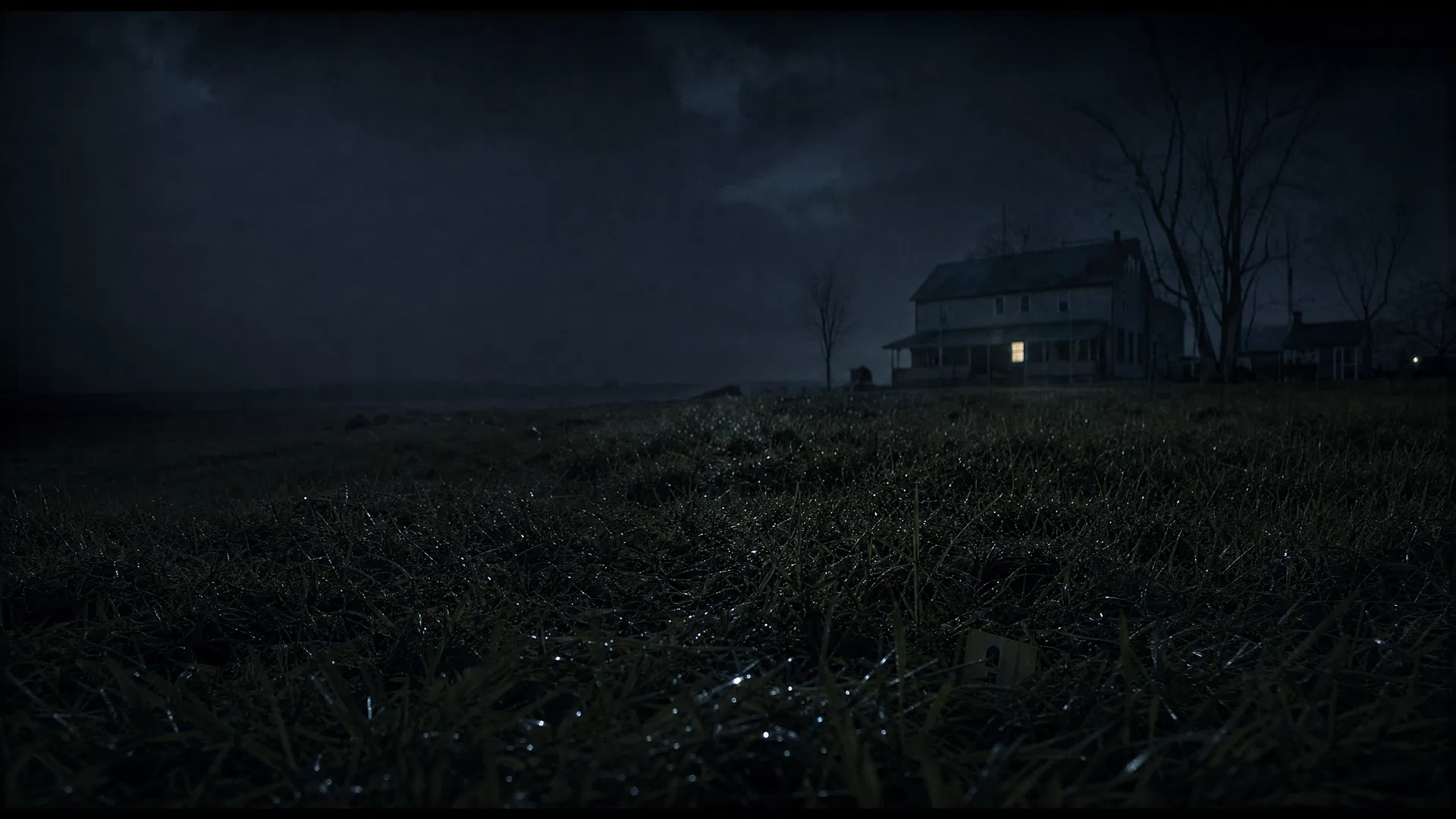 NOIR cinematic landscape