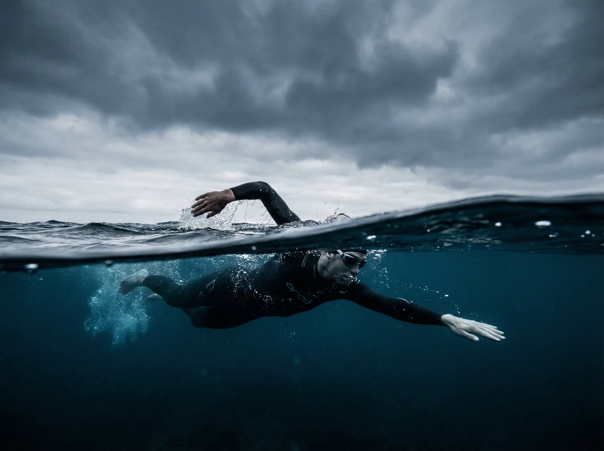 תוכניות אימון