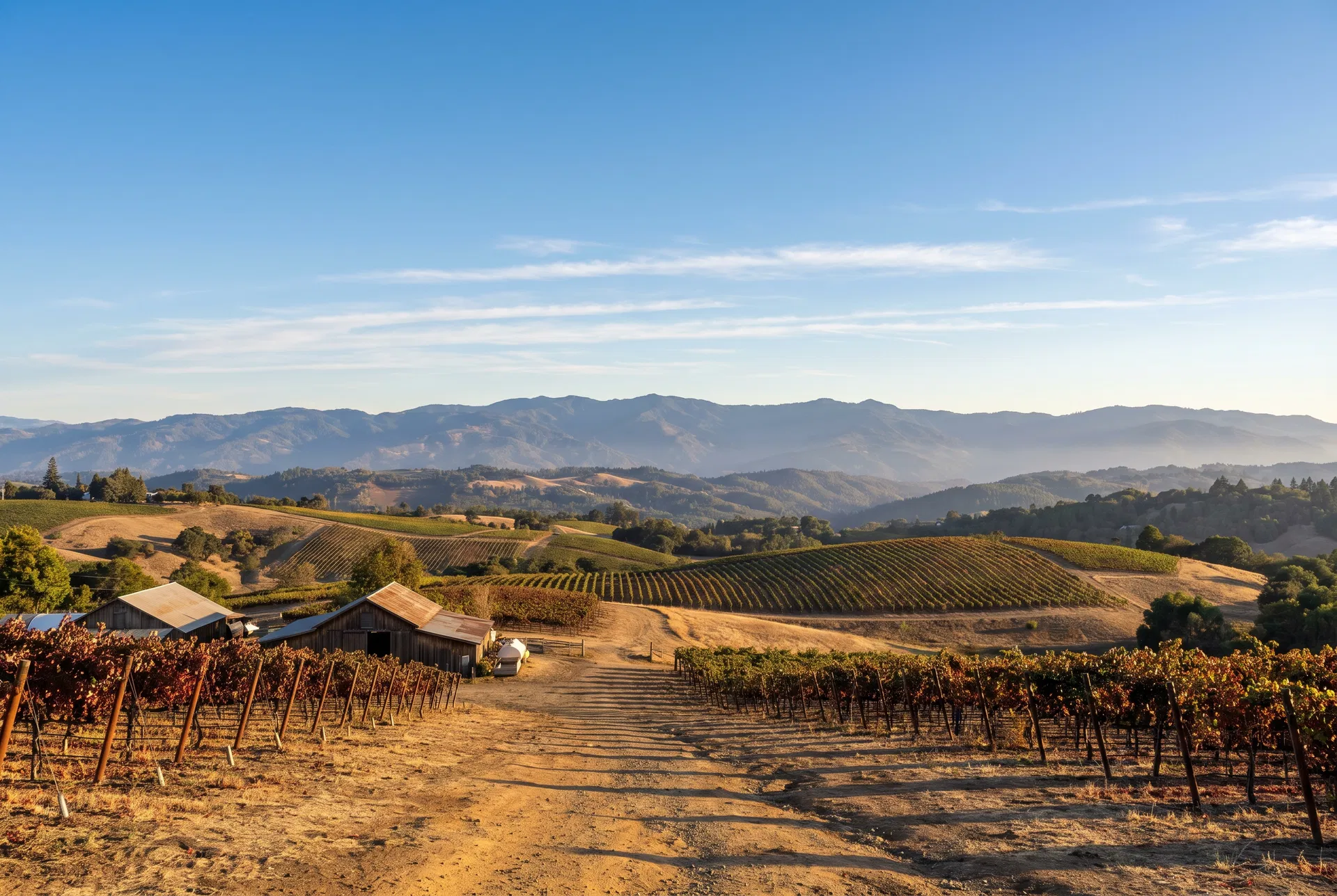 High-elevation vineyard panorama at 1329 feet Big Valley AVA Lake County California mountain ridgeline