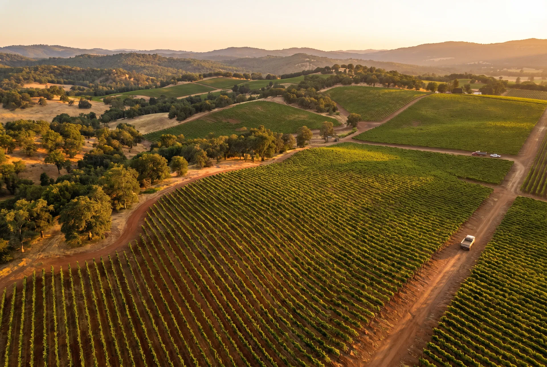 Aerial view of Quercus Ranch Sauvignon Blanc vineyard rows at golden hour Big Valley AVA Lake County California