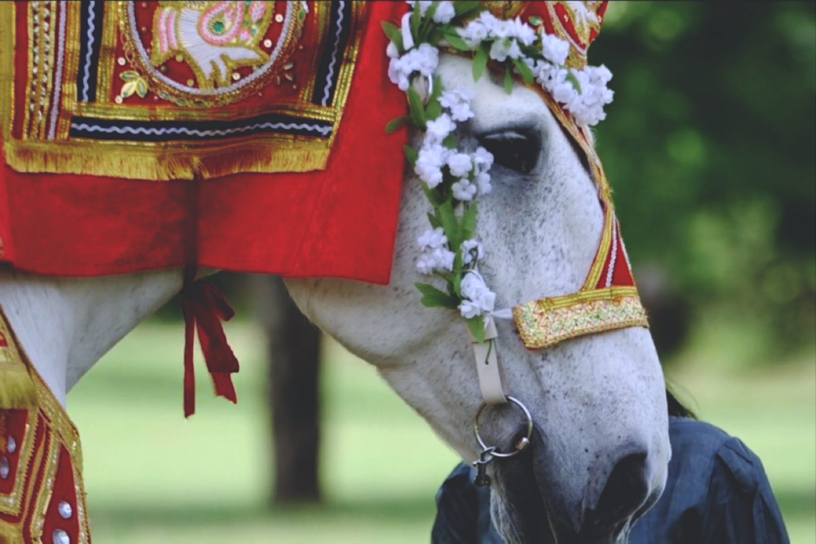 Bride Series: Don't Skip the Wedding Videographer