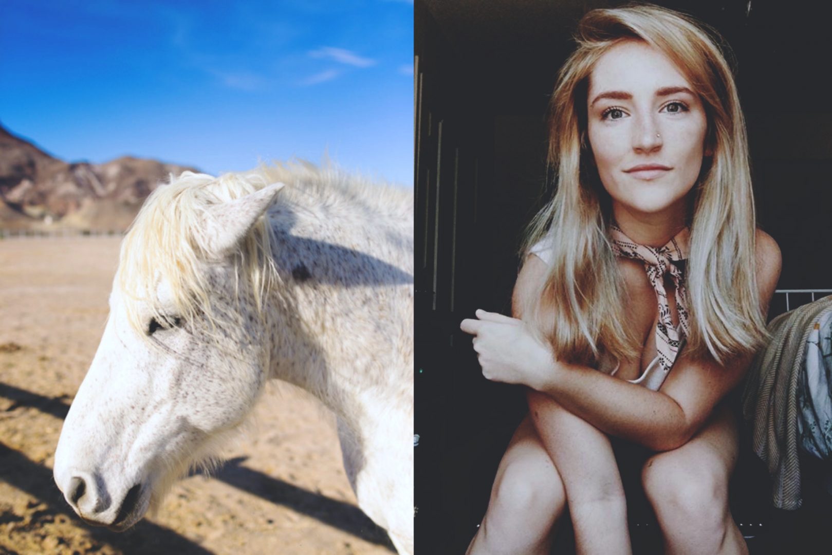 Small Business Saturday featuring Echols Photography and Design + Shelby Nickel Photography + Mountain Laurel Floral