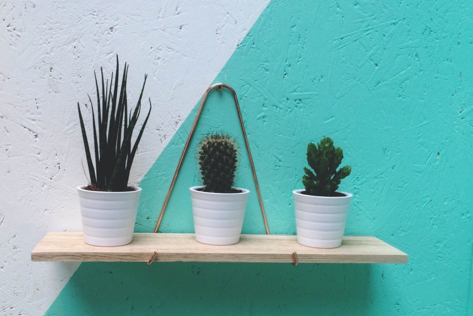 My Favorite Online Deals for Black Friday