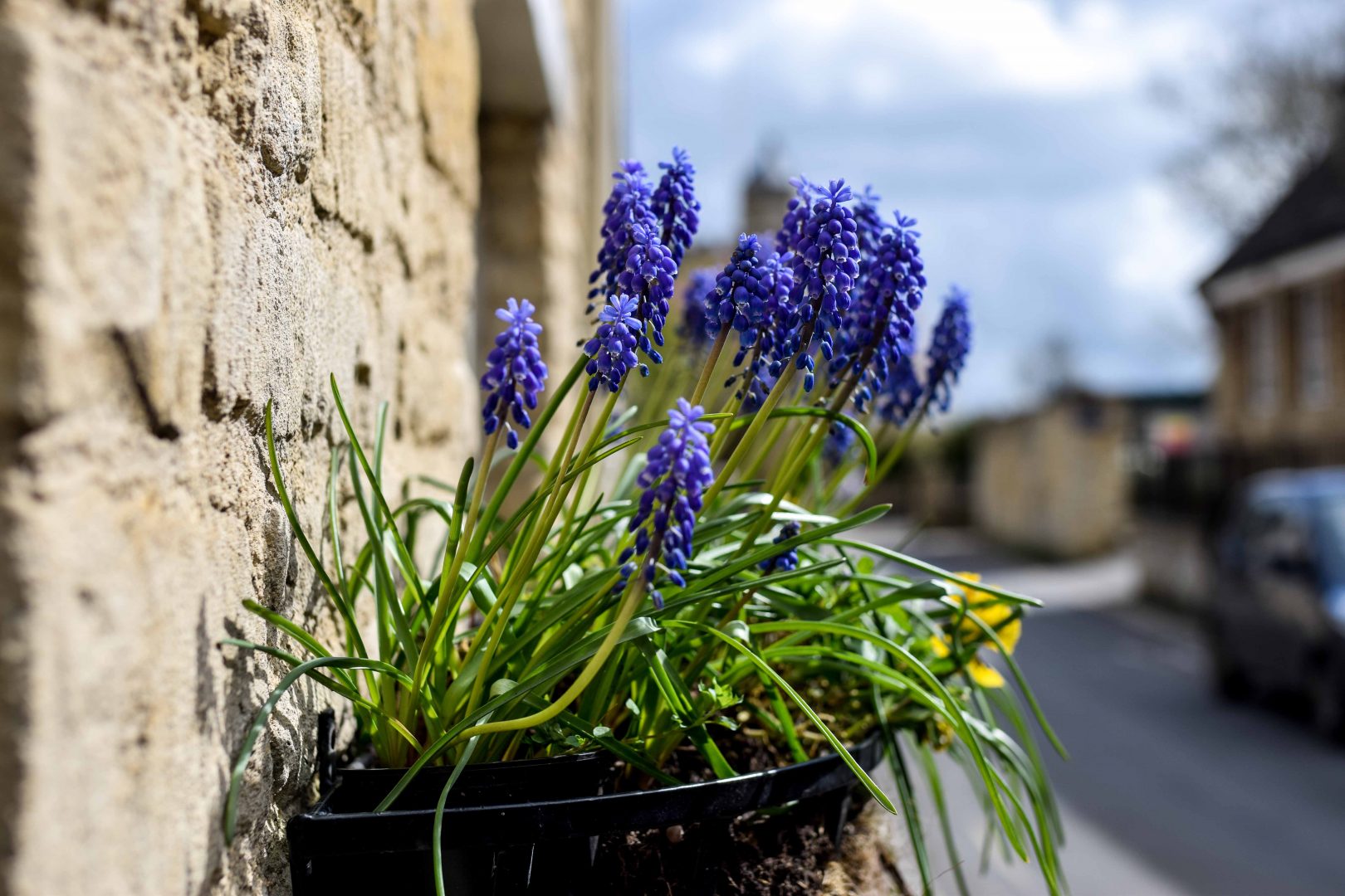 Day Trip to The Cotswolds