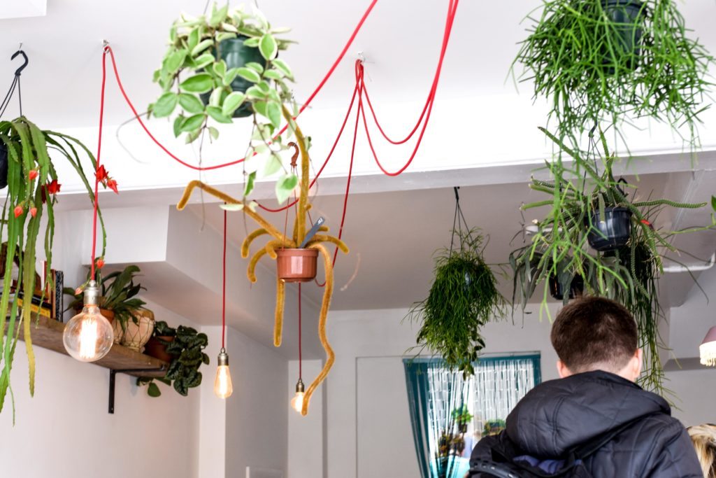 Longhouse Coffee Brighton