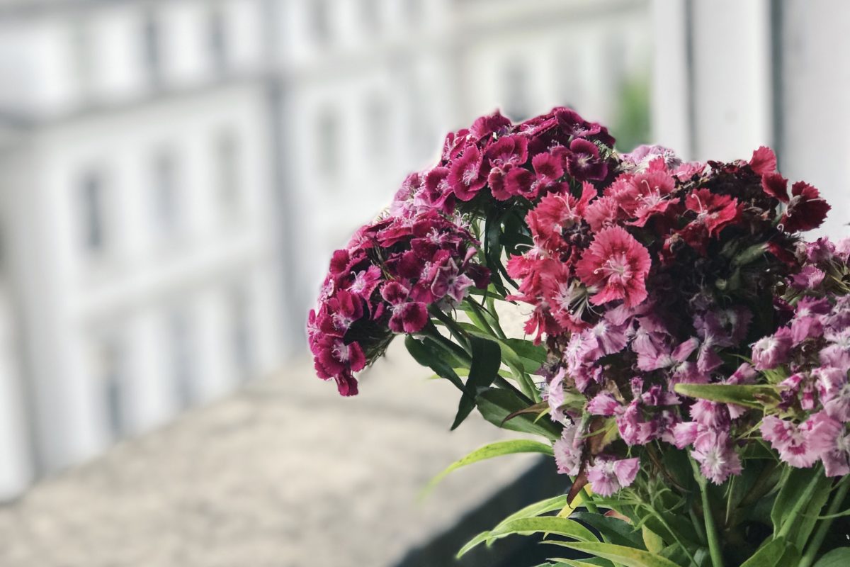 Whose Approval Do You Seek? – Galatians 1:10