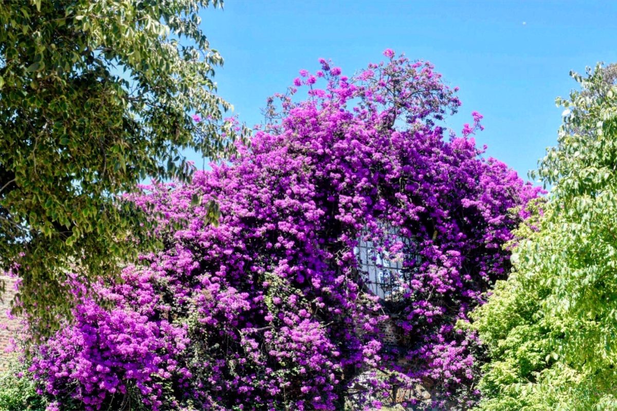 Do Not Judge or You Too Will Be Judged – Matthew 7:1-2