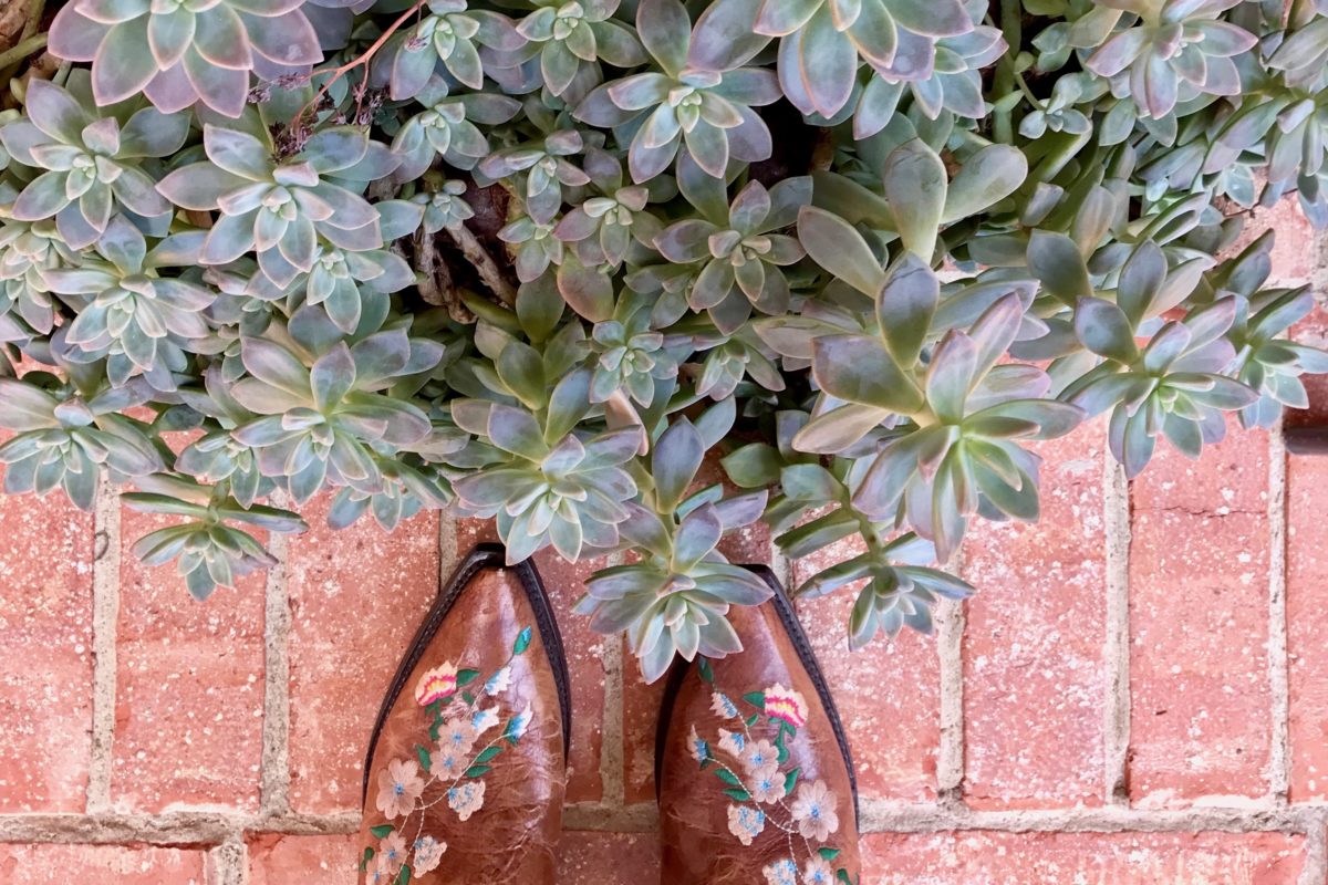 A Pair of Floral Cowboy Boots