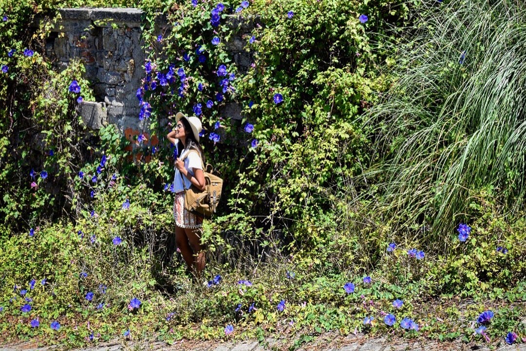 Not So Patiently Waiting for Clarity – Romans 5:1-21