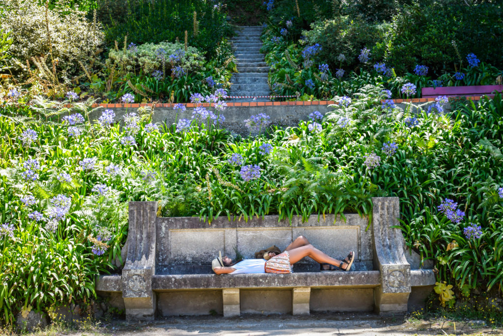 Porto Travel Guide: Things to Do in Porto, Portugal