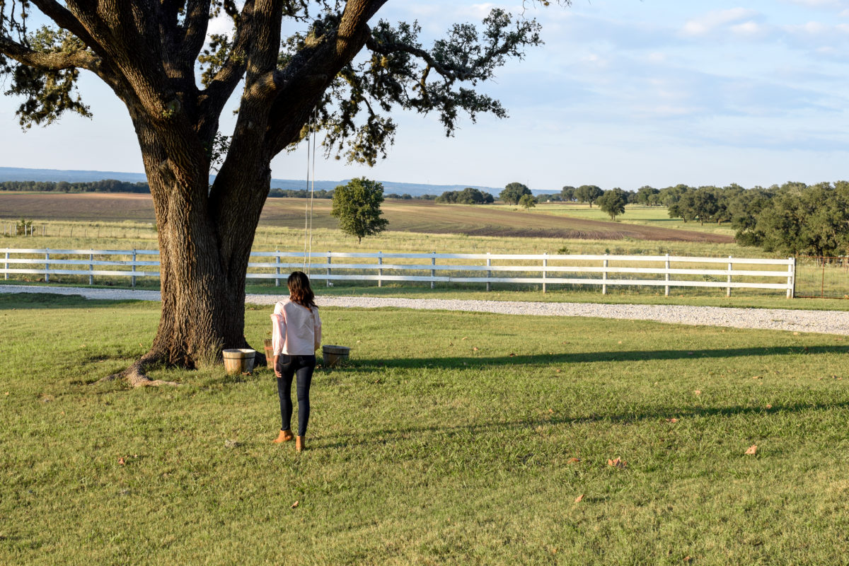 When I Finally Found Peace in this Chaotic World – John 16:33