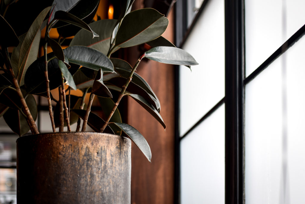 Honestly Austin: My Eberly Brunch Experience and Review