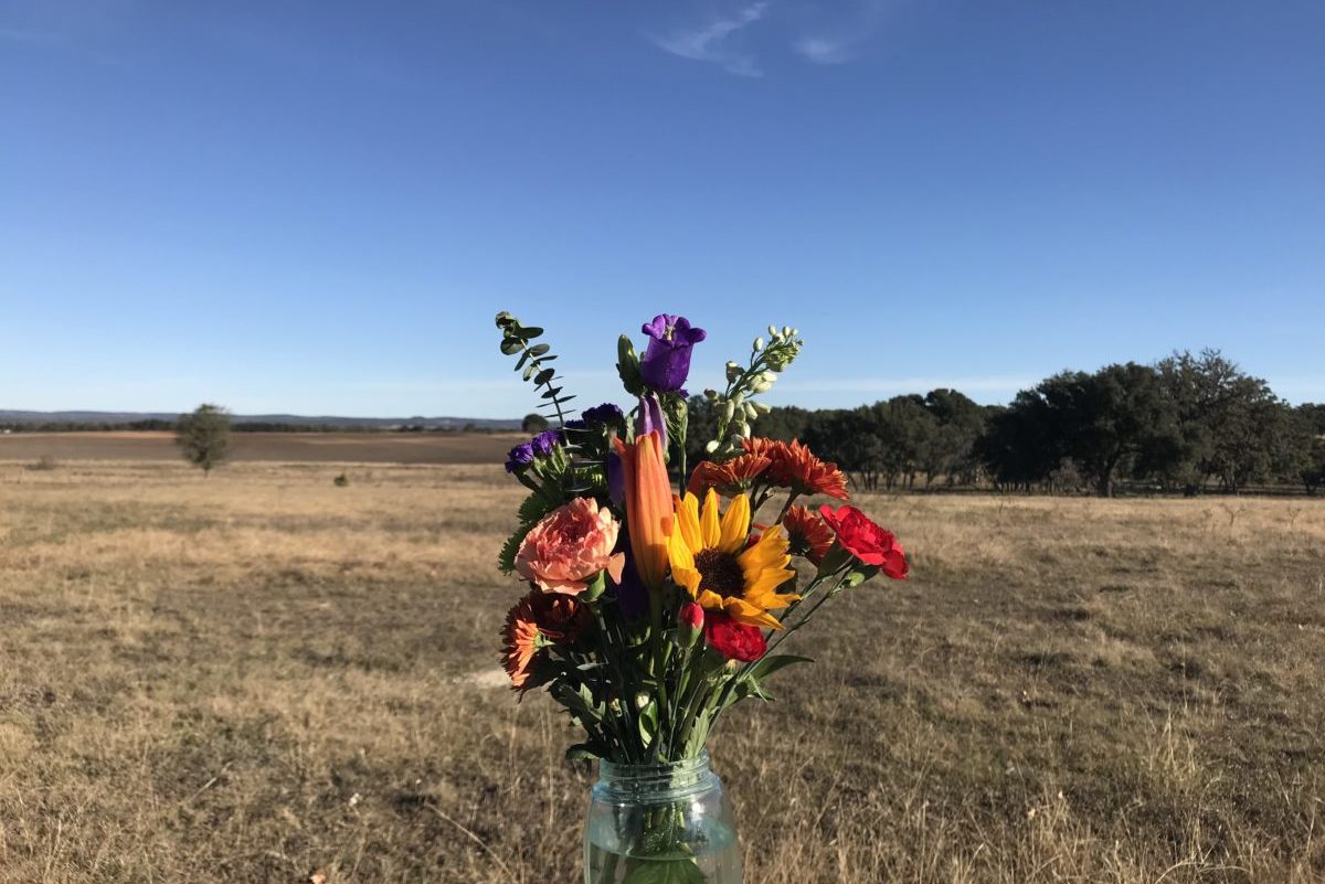 The Devil Loves to Lie To You – 1 Peter 5:8