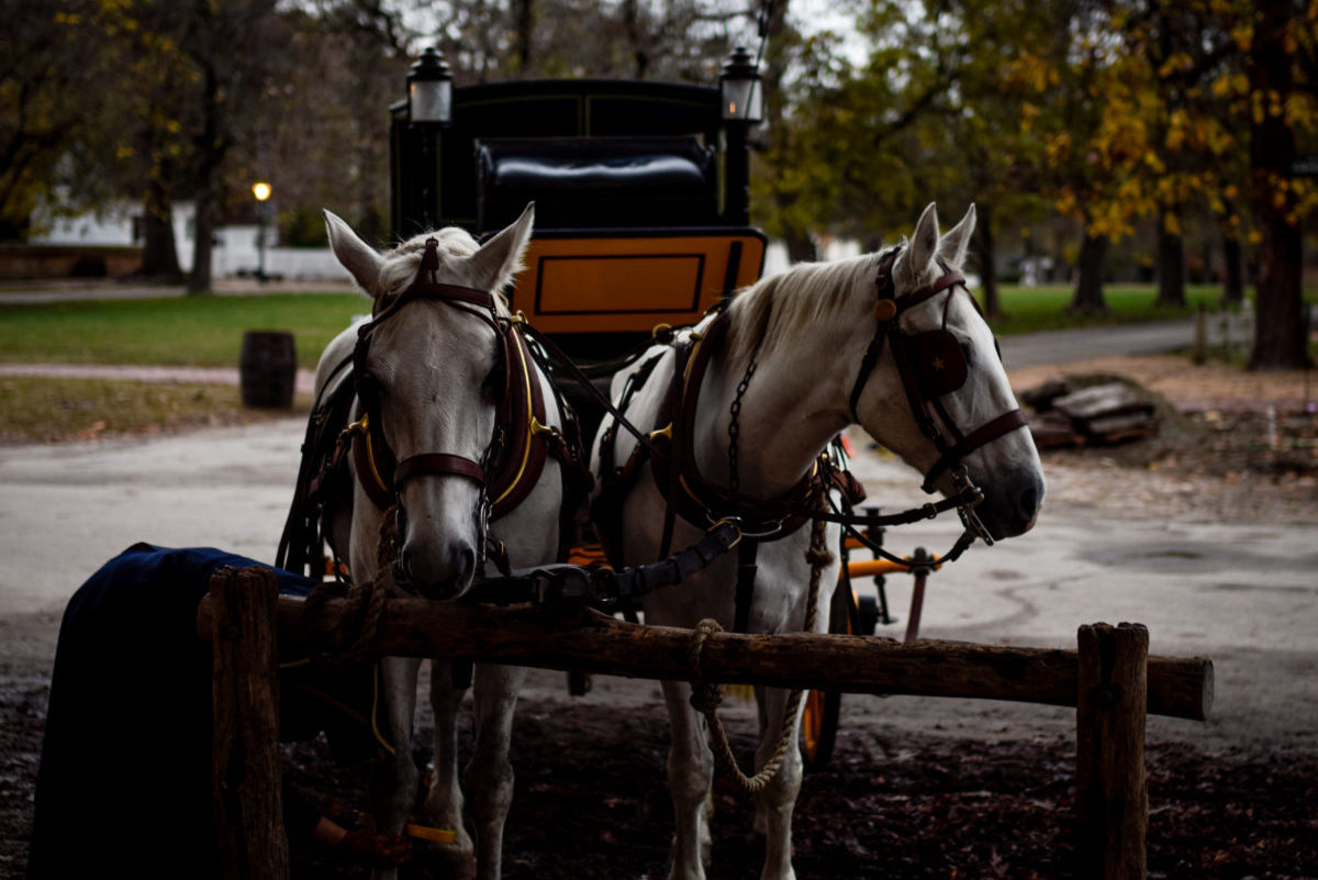 Seek The Truth For Yourself – Matthew 13:3