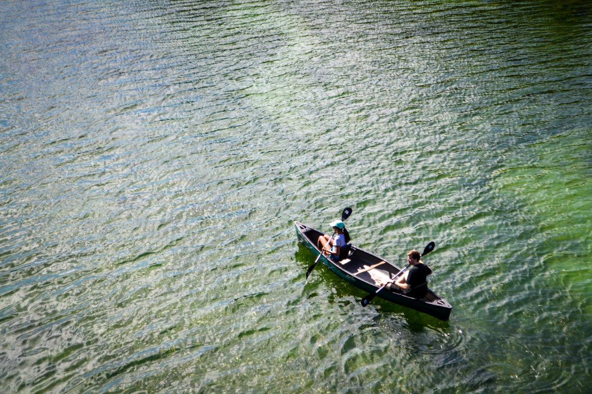 [No. 42] Love Is Consistent Gratitude