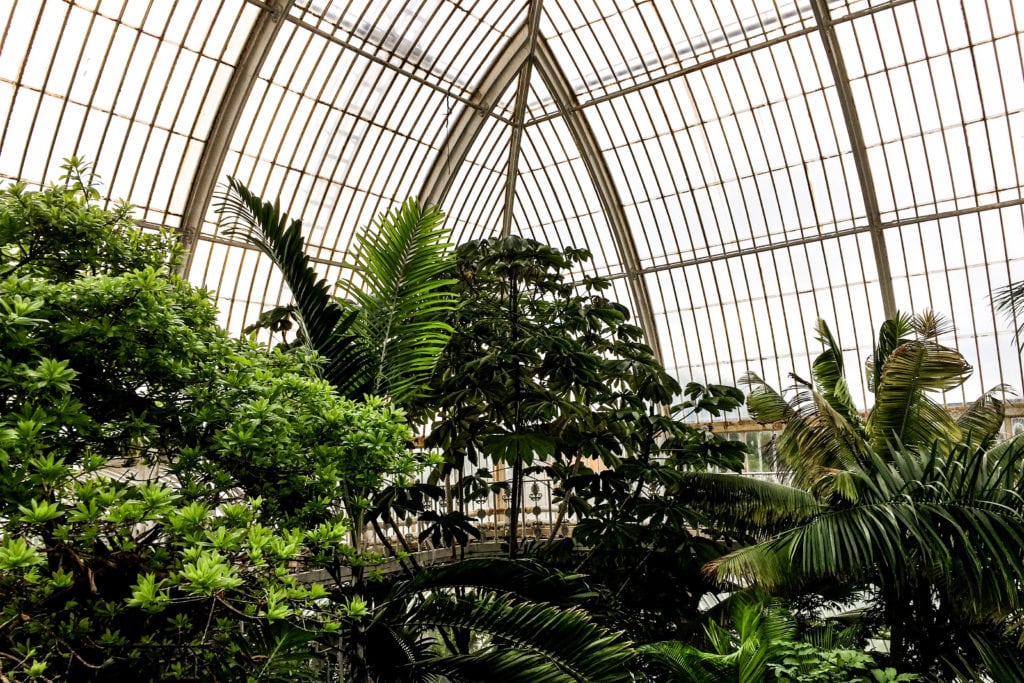 A London Expat's Guide on Things To Do in London, England