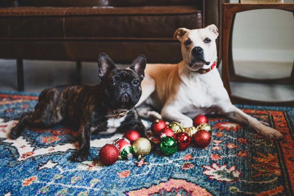Ten Thousand Villages Garlands on My First Christmas Tree Ever