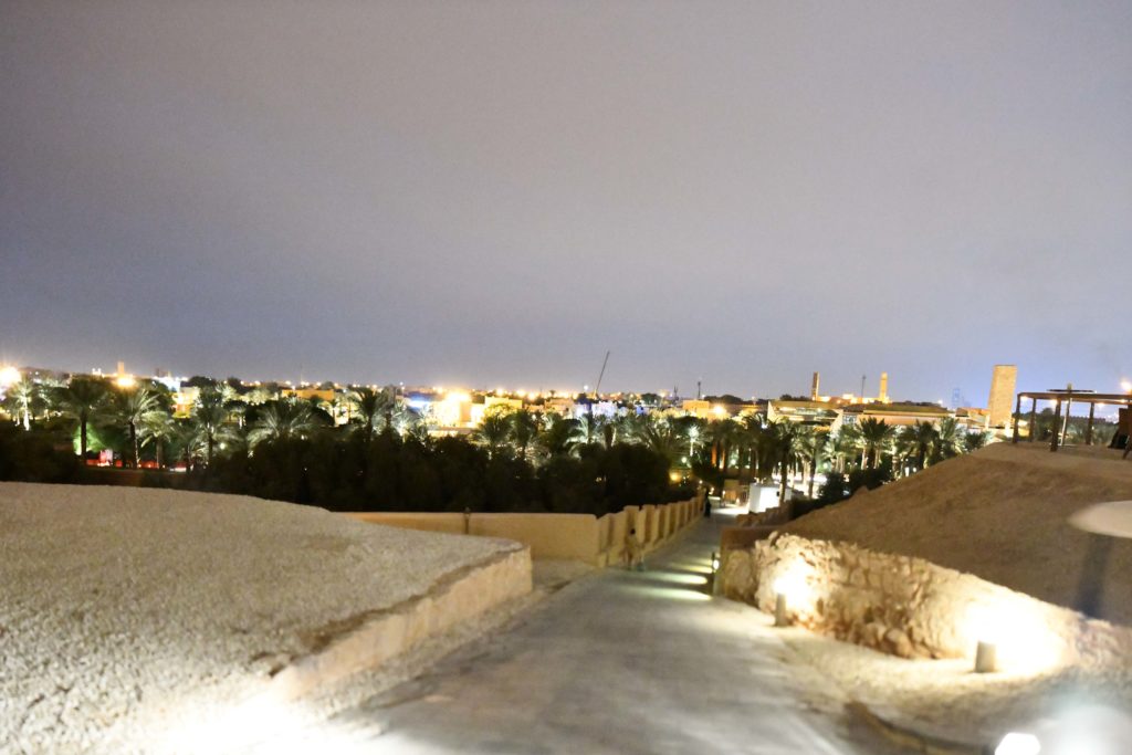 My Trip to Saudi Arabia thehonestShruth