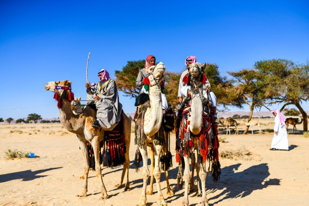 My Trip to Saudi Arabia: Part Two of Three