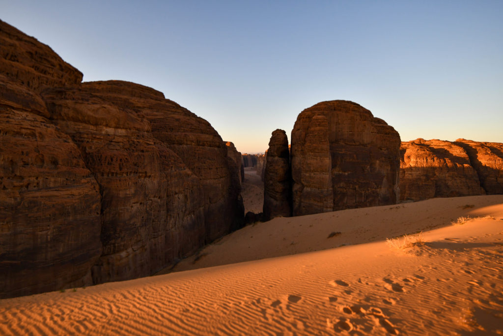 My Trip to Saudi Arabia: Part Two of Three