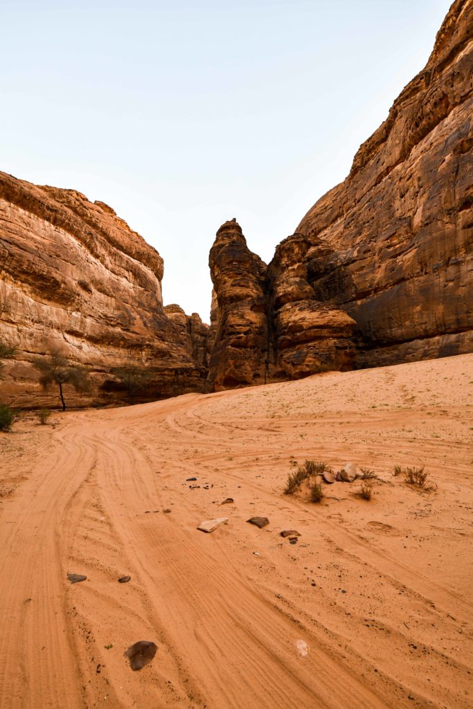 Saudi Arabia_thehonestShruth-84