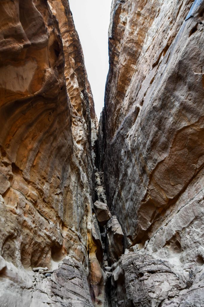 Saudi Arabia_thehonestShruth-84