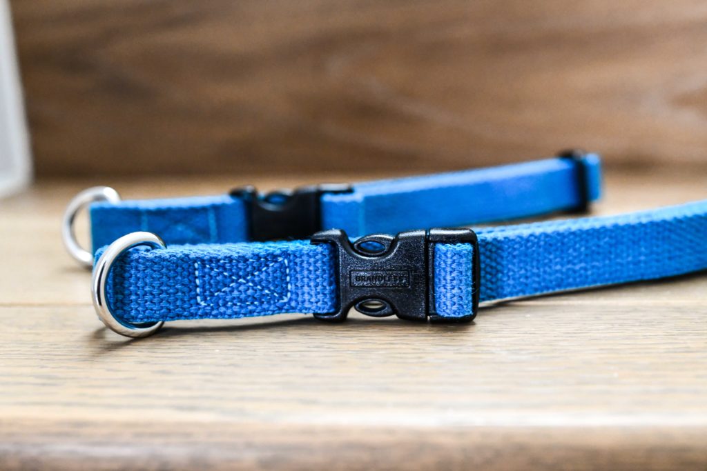 Brandless Dog Collars are the Best Dog Collars on the Market Right Now