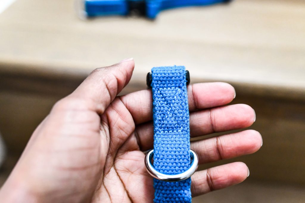 Brandless Dog Collars are the Best Dog Collars on the Market Right Now