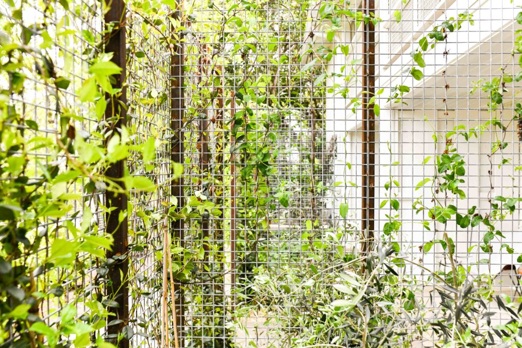 Sweet Small Town Stay at Stagecoach Inn, Salado, TX