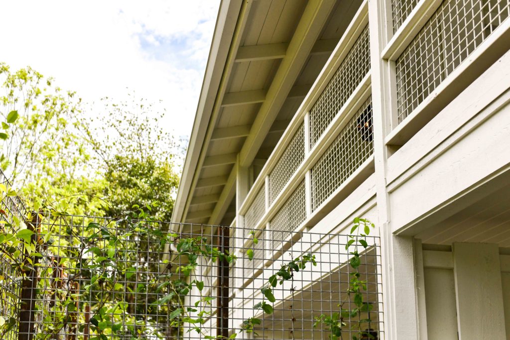 Sweet Small Town Stay at Stagecoach Inn, Salado, TX