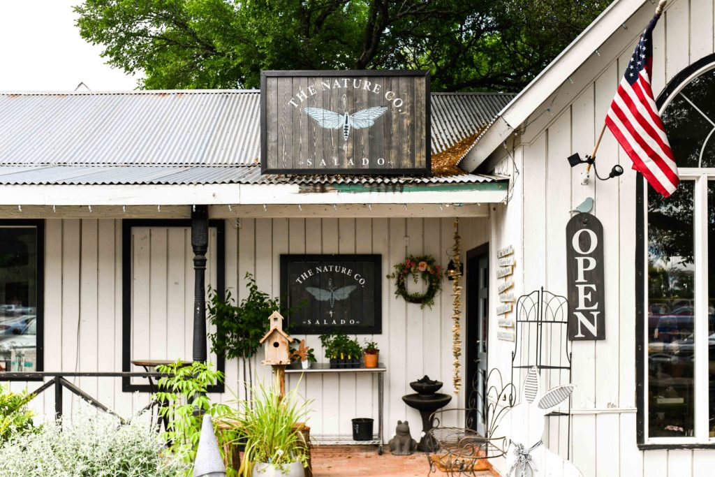 Where to Eat in Salado Lively Coffee House and Bistro
