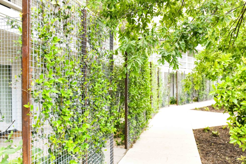 Sweet Small Town Stay at Stagecoach Inn, Salado, TX