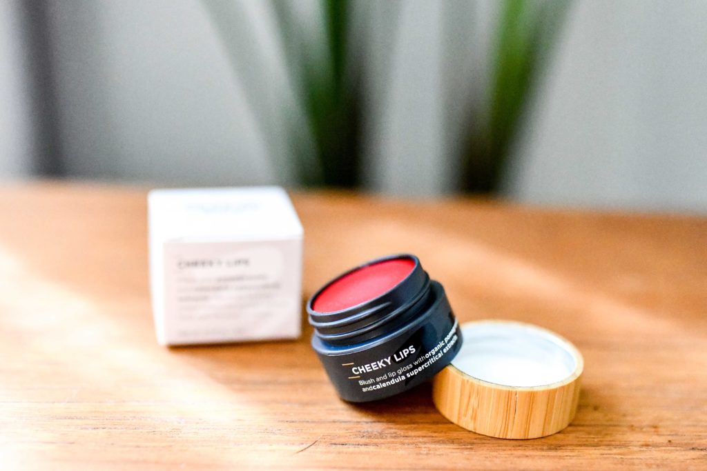 Organic Makeup That Actually Works and Lasts All Day Long _ organic blush and lip gloss