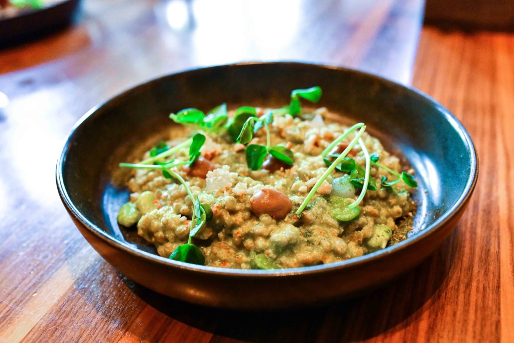 WYLD at the Ritz Carlton Bachelor Gulch, Beaver Creek, CO