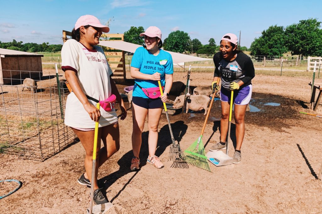 #OptForOptimism thehonestShruth Volunteered