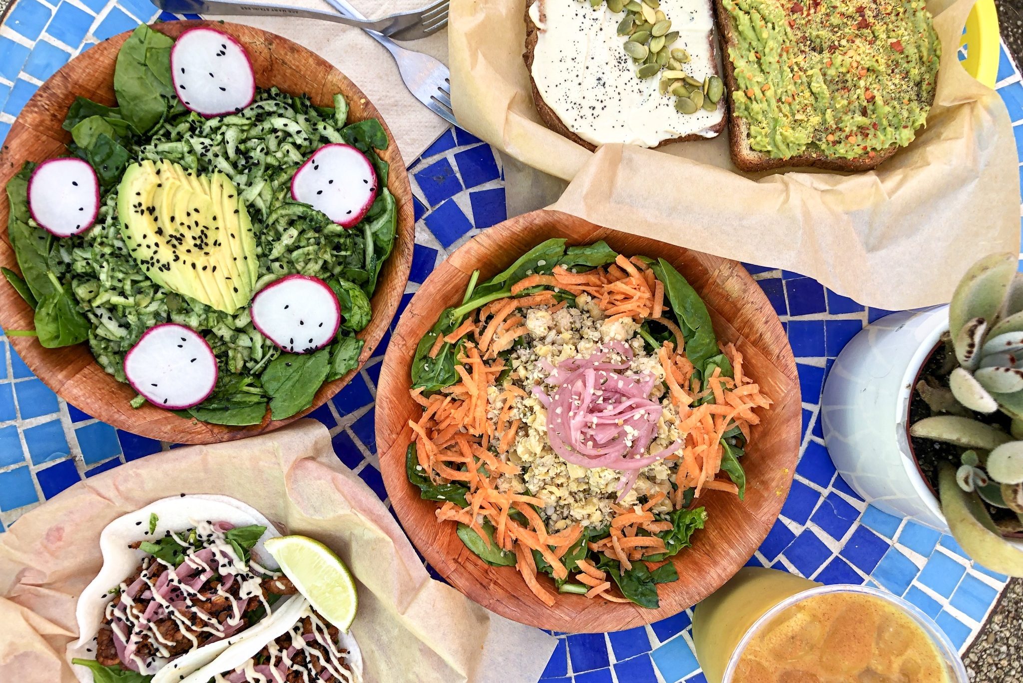 A Beginner's Guide to Going Vegan