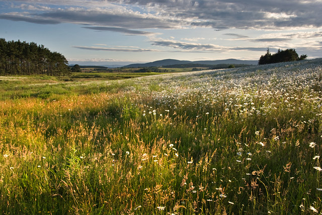 Unknown Bleeding During Weeks 10-12 of Pregnancy