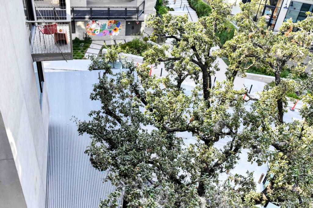 Hotel Magdalena Austin, TX Review – One Night&nbsp;