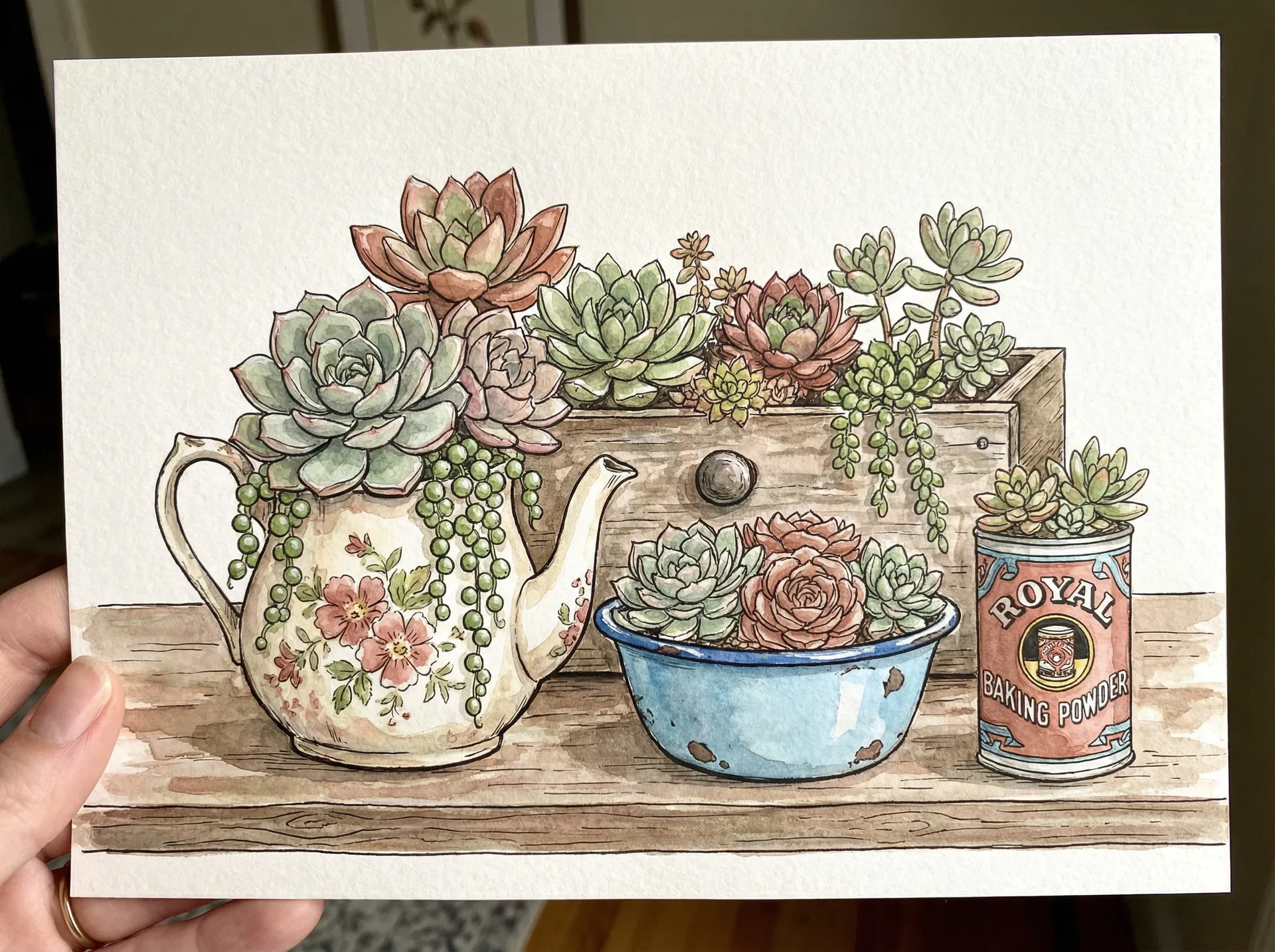 Succulent Care 101: A Beginner's Guide to Happy Succulents
