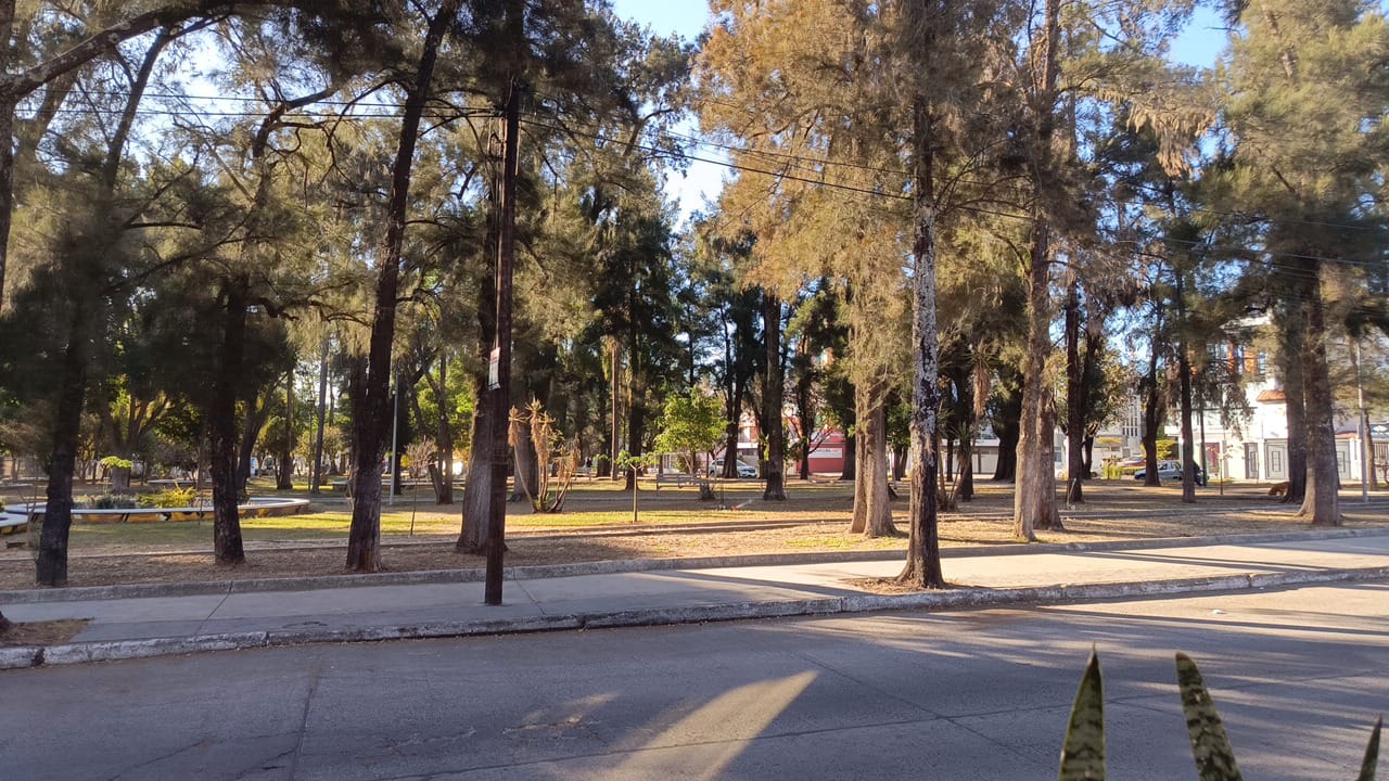 Sala de juntas equipada con capacidad para 8 usuarios, pantalla, A/A y servicio de cafetería incluido