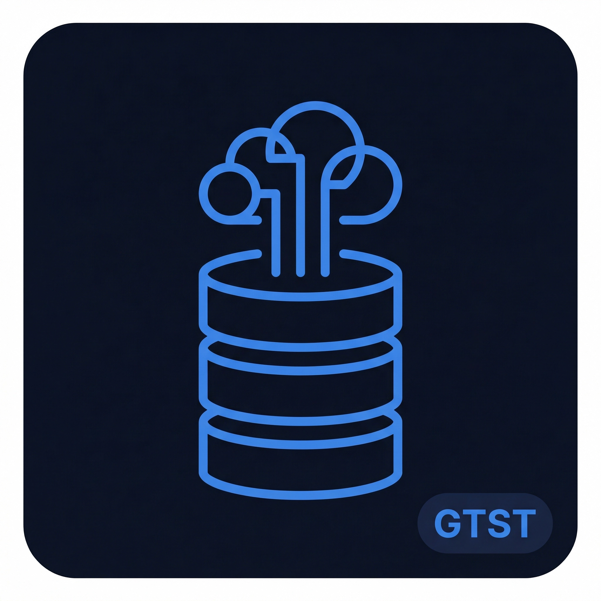 GetToStorage.com logo