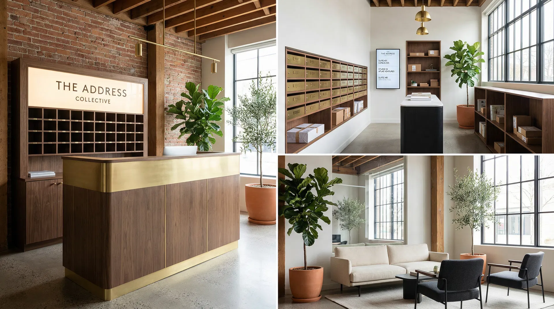 Virtual Office — A professional business address without the overheads at Adventure Collective