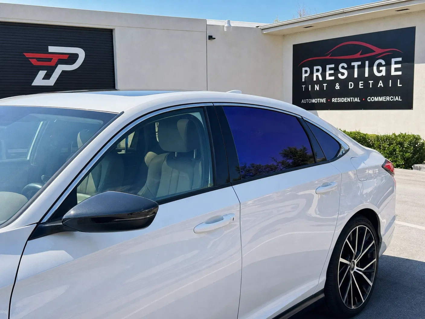 Window Tint