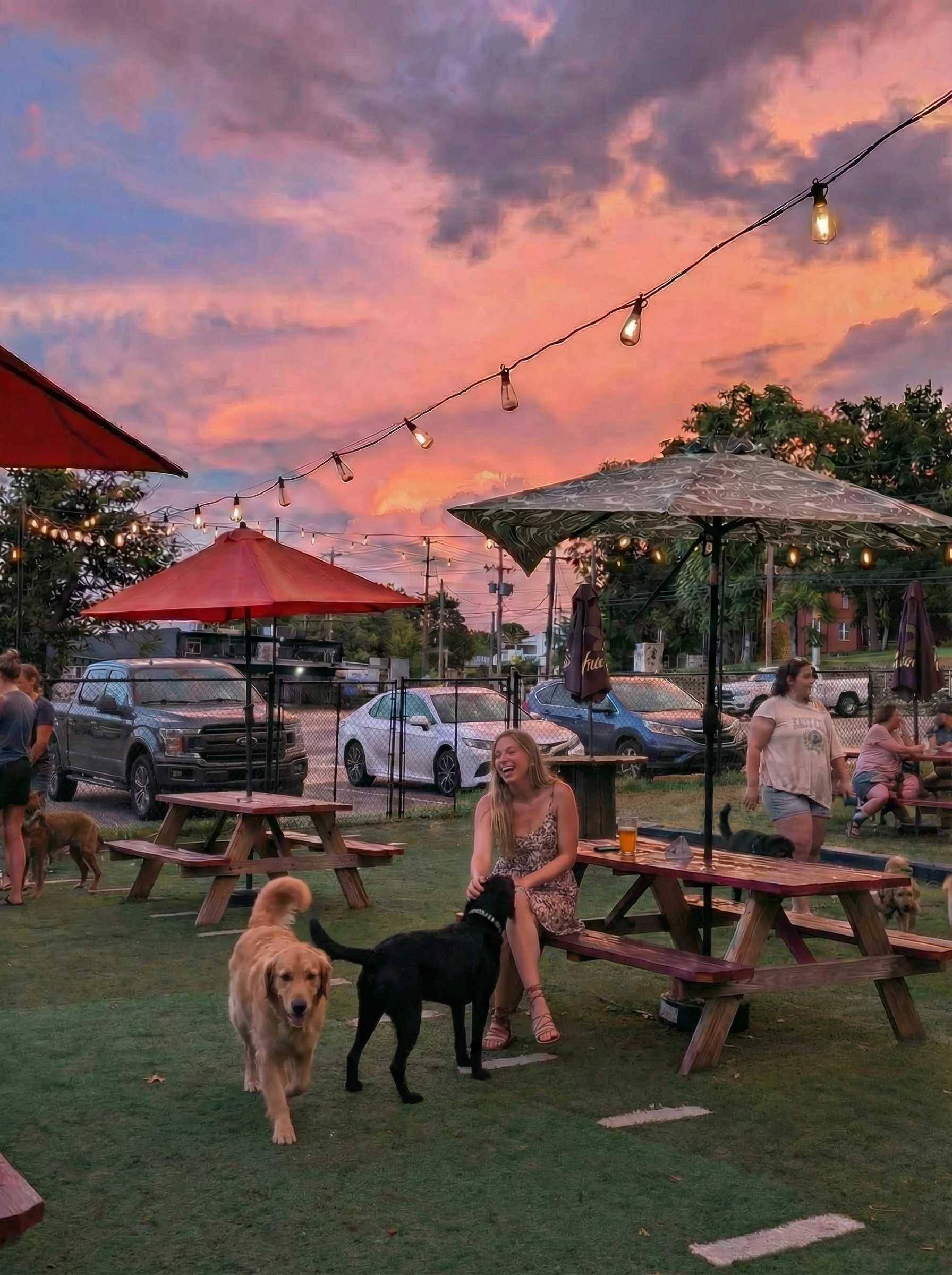 The Ultimate Weekend Checklist for Dog Parents in Tulsa